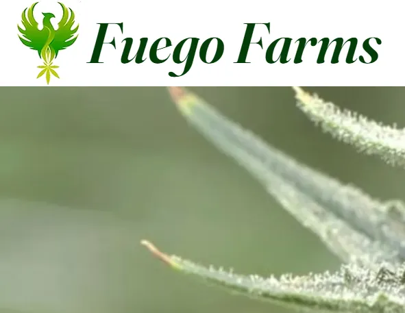 Fuego Farms logo — Denver cannabis partner