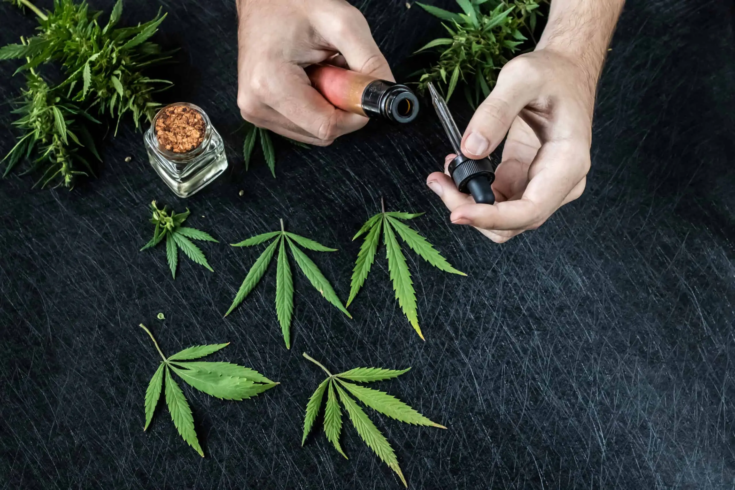 Cannabis leaves and a tincture dropper on a dark work surface