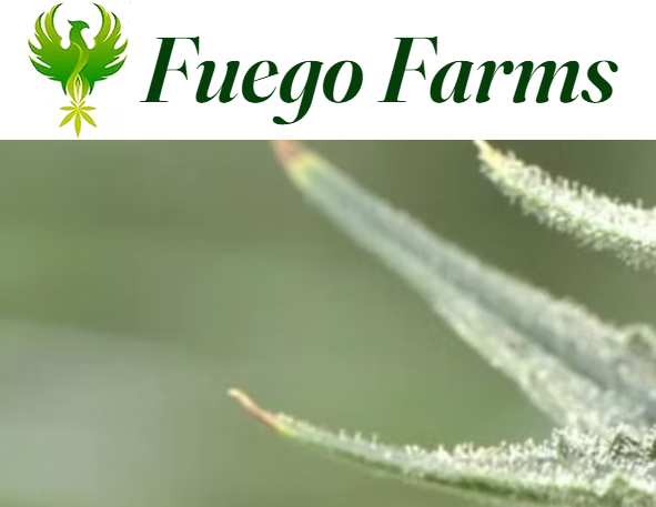 Fuego Farms logo Denver cannabis partner