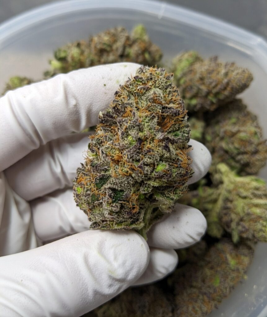 Cannabis flower denver at Sticky Fingerz. Sticky fingers